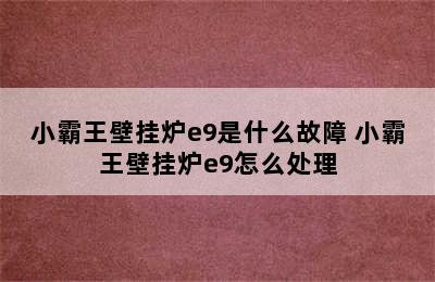 小霸王壁挂炉e9是什么故障 小霸王壁挂炉e9怎么处理